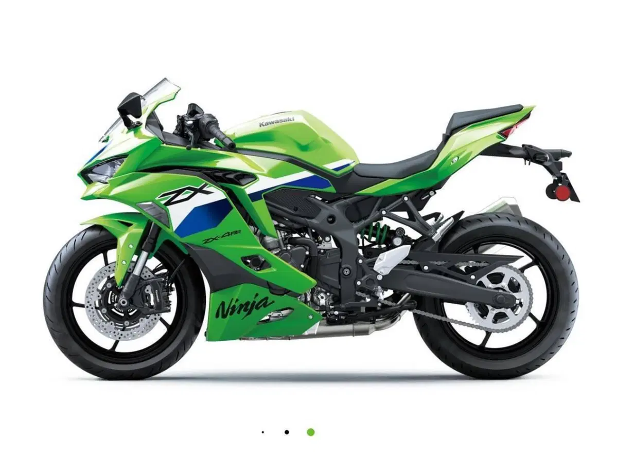 Kawasaki Ninja ZX-4RR (2024 - 26) (3)