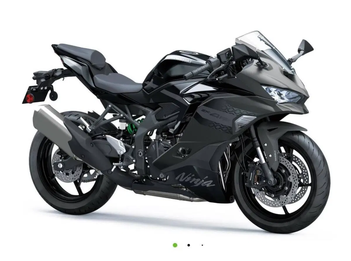 Kawasaki Ninja ZX-4RR (2024 - 26) (4)