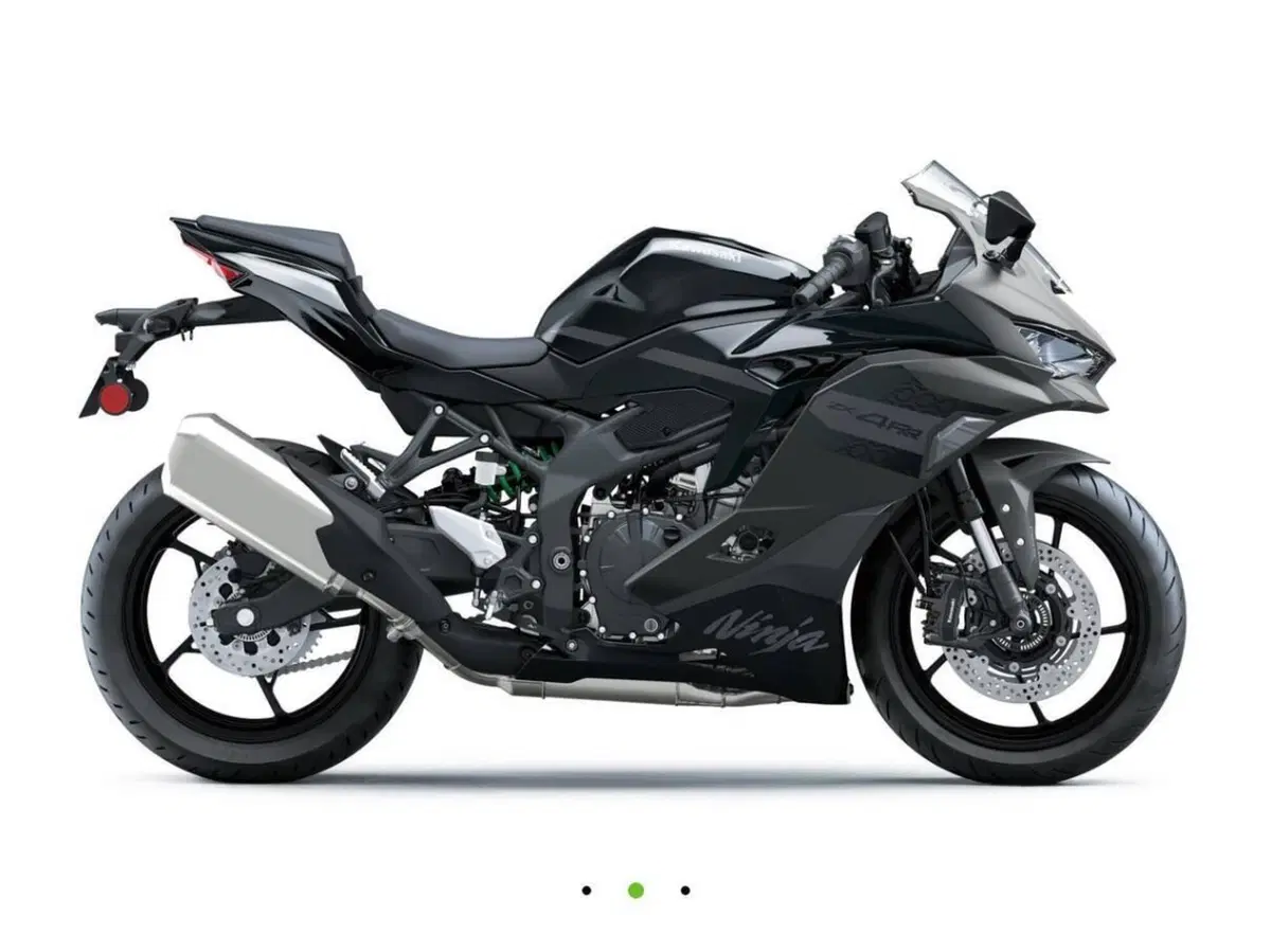 Kawasaki Ninja ZX-4RR (2024 - 26) (5)