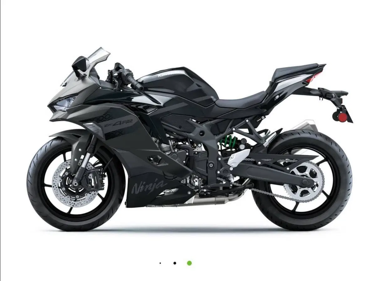 Kawasaki Ninja ZX-4RR (2024 - 26) (6)