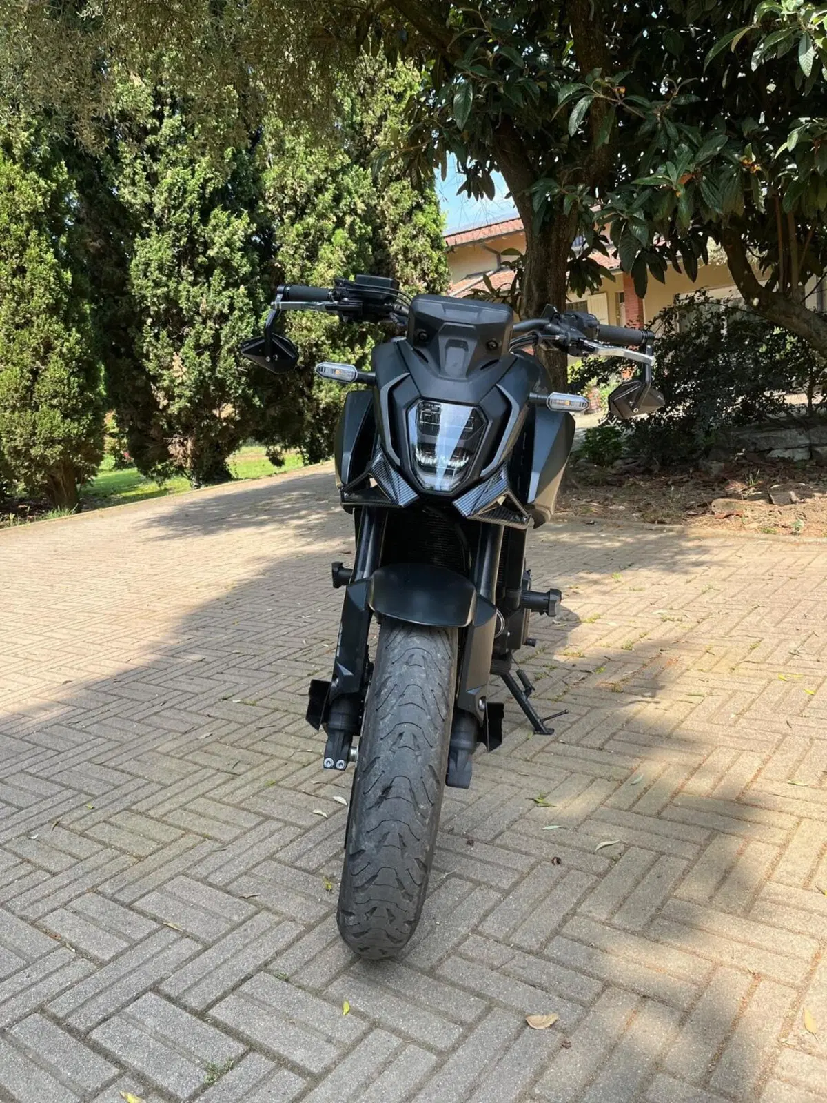 Honda CB 500 Hornet (2024 - 25) (5)