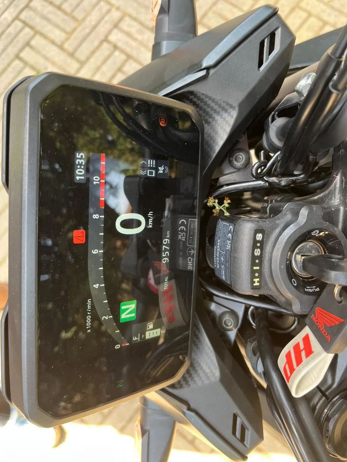 Honda CB 500 Hornet (2024 - 25) (9)