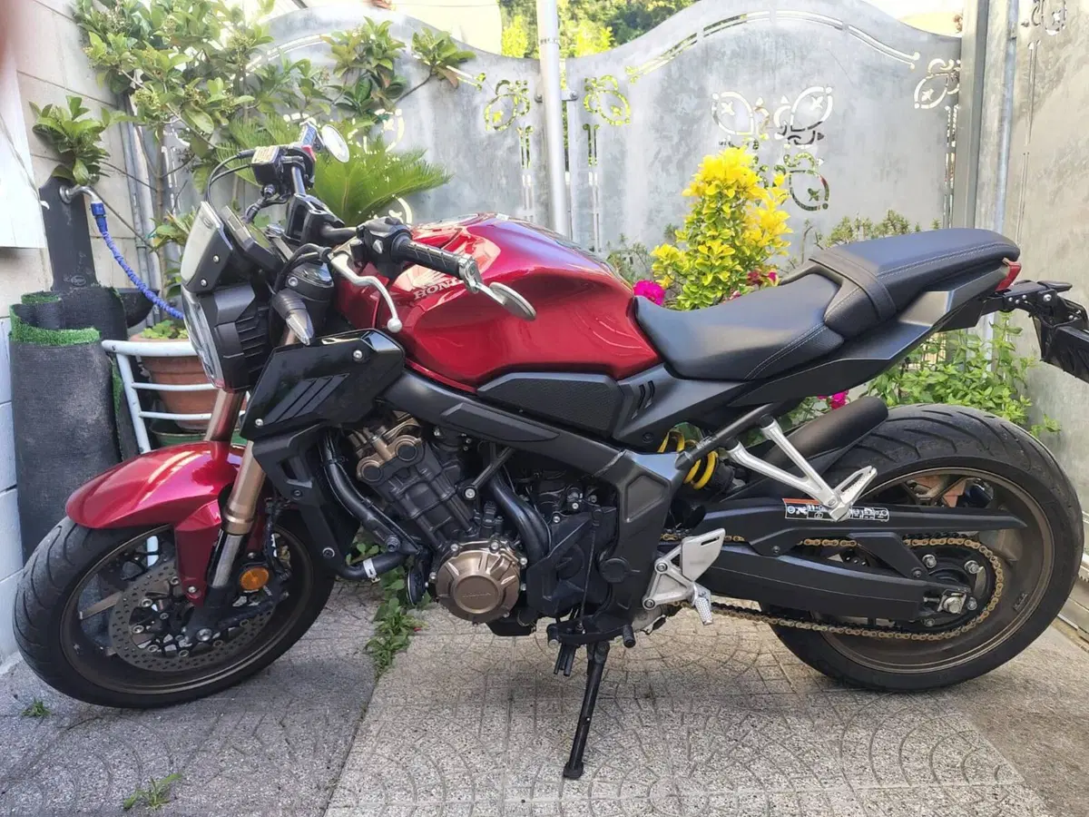 Honda CB 650 R (2021 - 23)