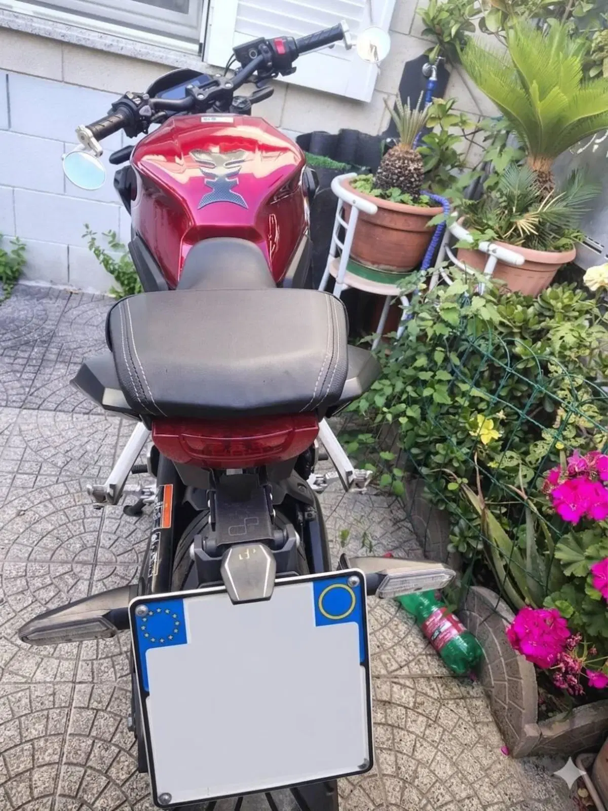 Honda CB 650 R (2021 - 23) (5)