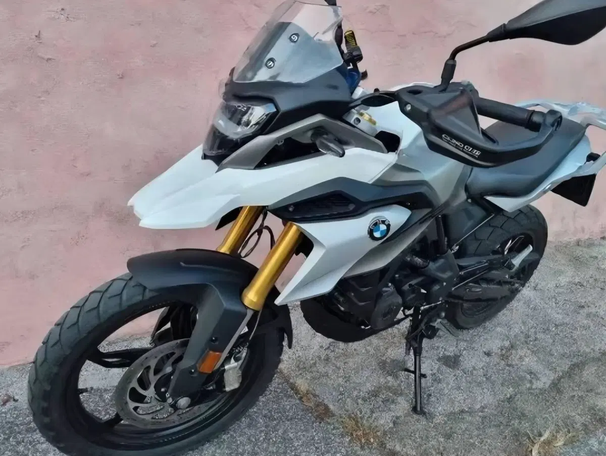 Bmw G 310 GS (2021 - 25) (6)