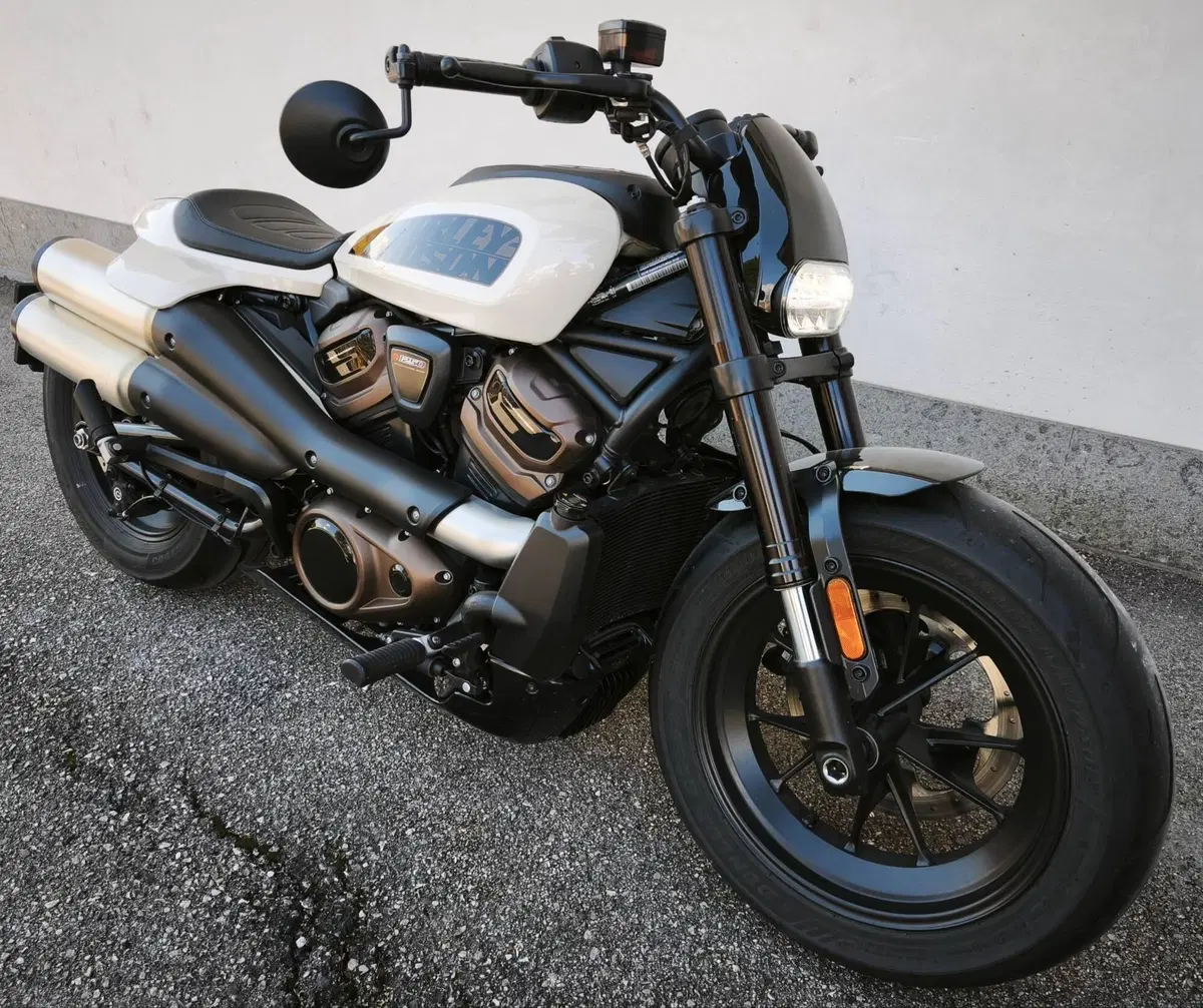 Harley-Davidson Sportster S (2022 - 24) (2)