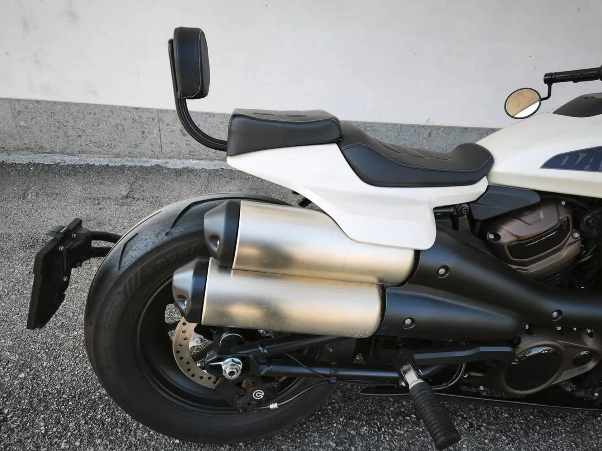 Harley-Davidson Sportster S (2022 - 24) (6)