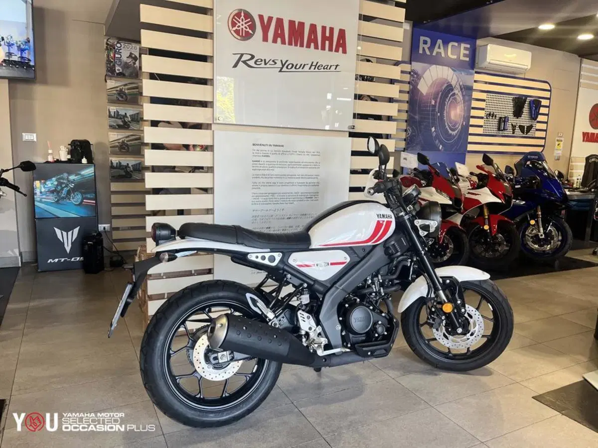Yamaha XSR 125 (2021 - 24) (7)