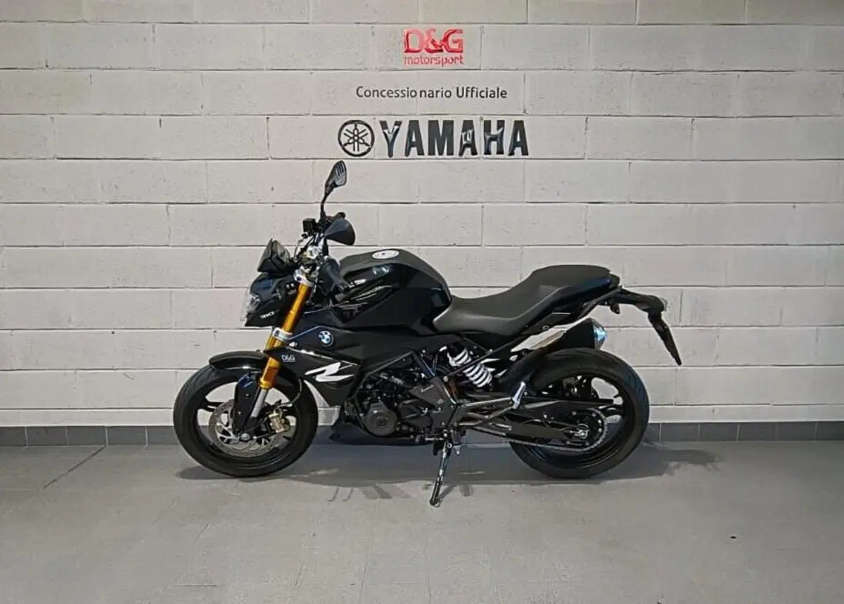 Bmw G 310 R (2021 - 25) (4)