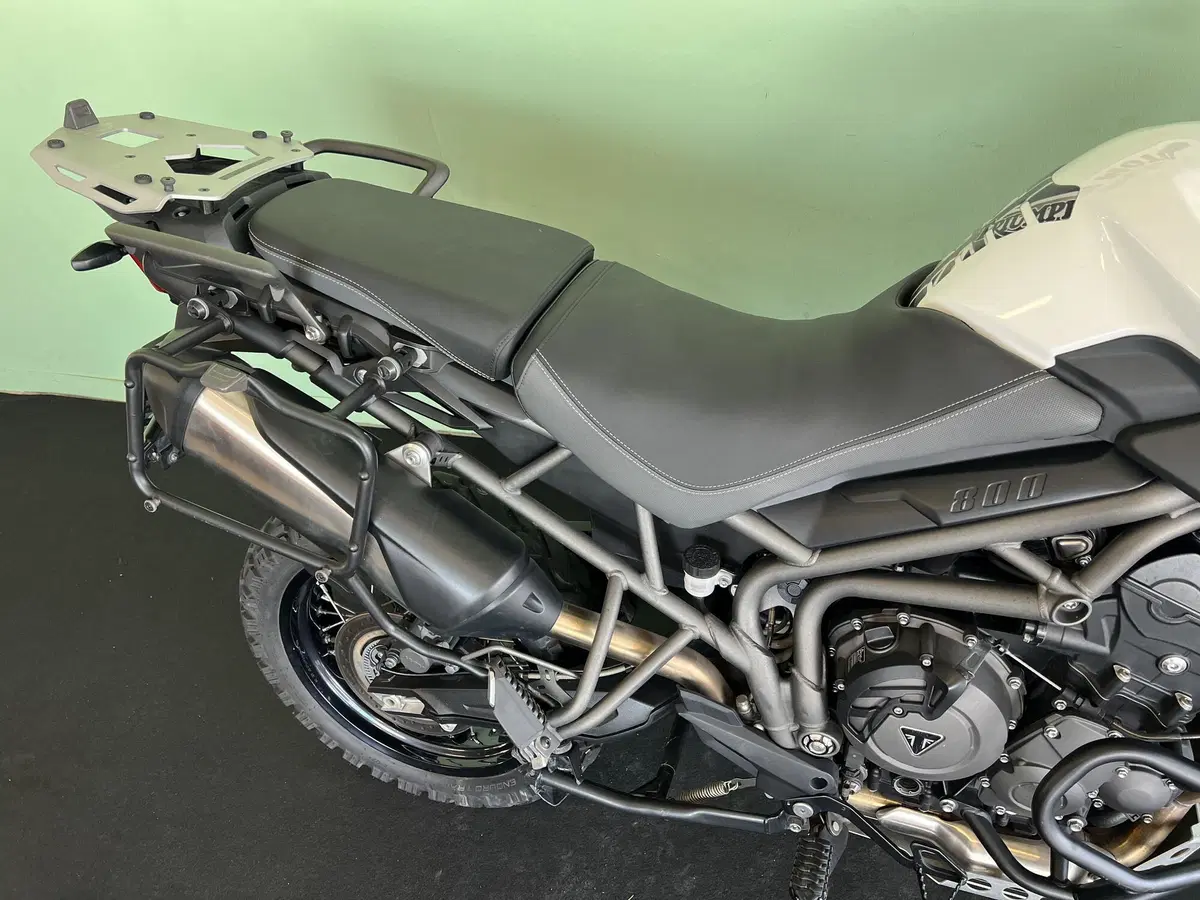 Triumph Tiger 800 XCx (2018 - 20) (11)