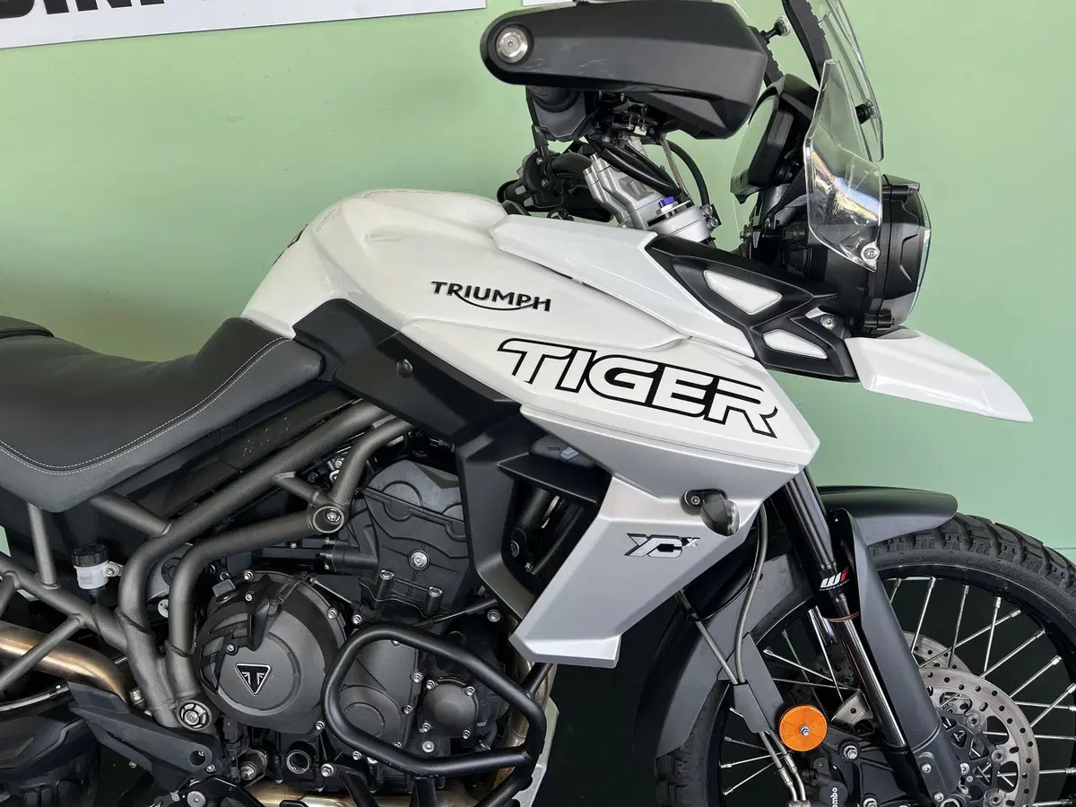 Triumph Tiger 800 XCx (2018 - 20) (12)