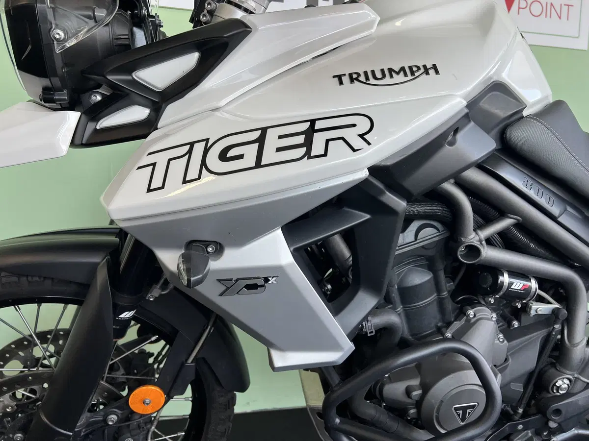 Triumph Tiger 800 XCx (2018 - 20) (13)