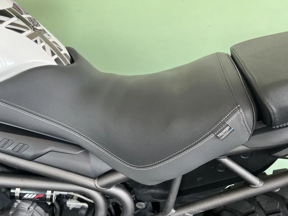 Triumph Tiger 800 XCx (2018 - 20) (15)