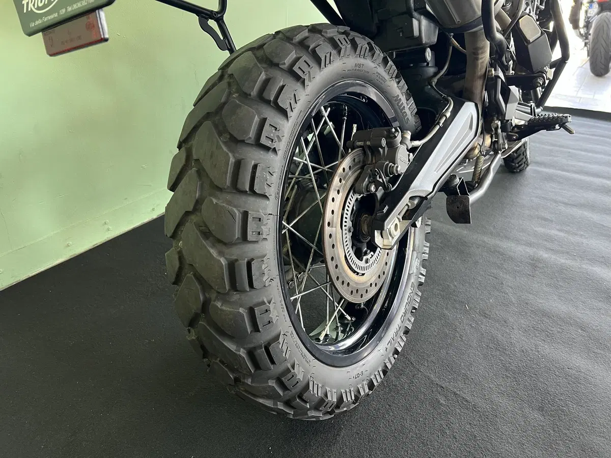 Triumph Tiger 800 XCx (2018 - 20) (18)