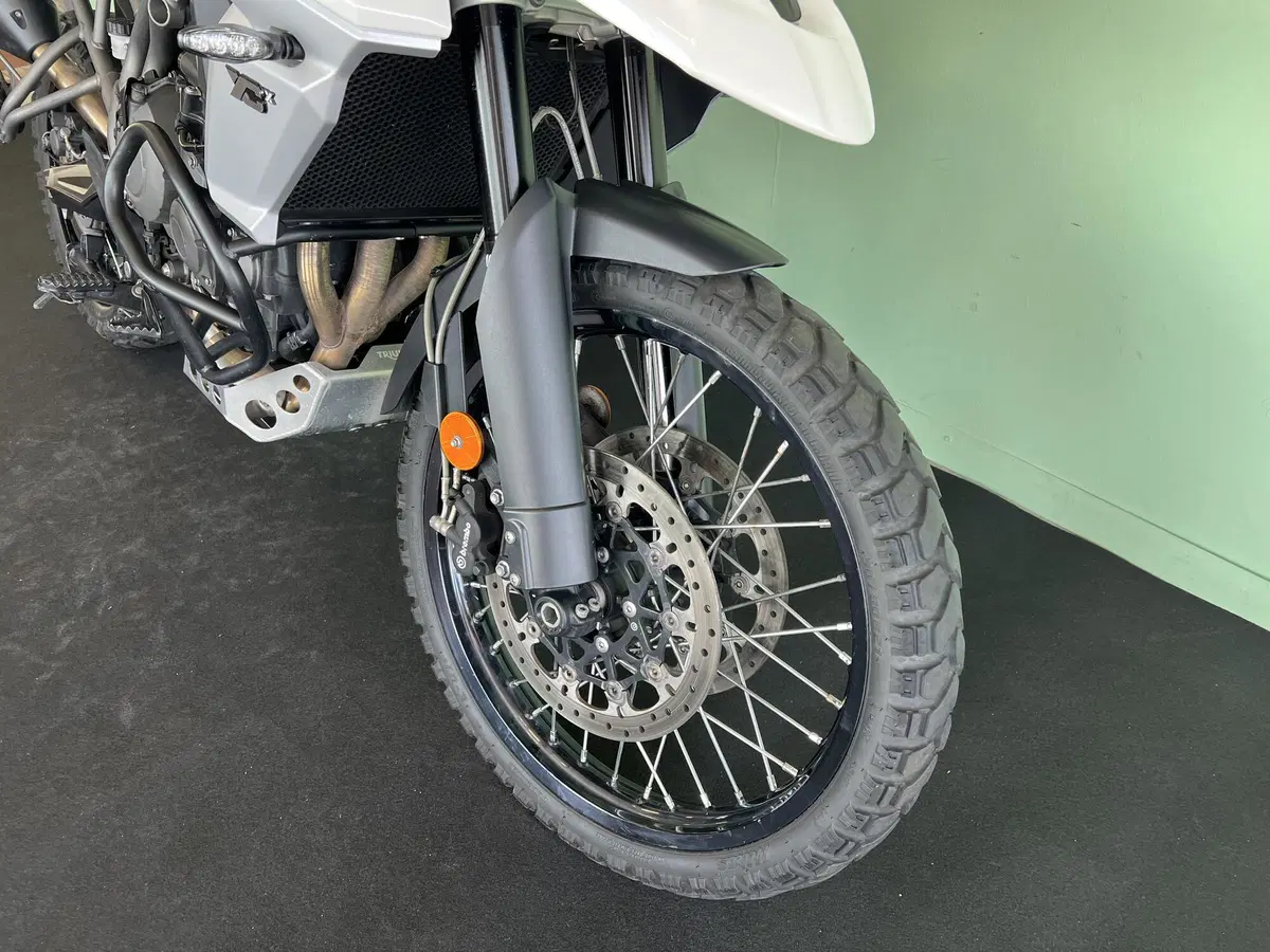 Triumph Tiger 800 XCx (2018 - 20) (19)
