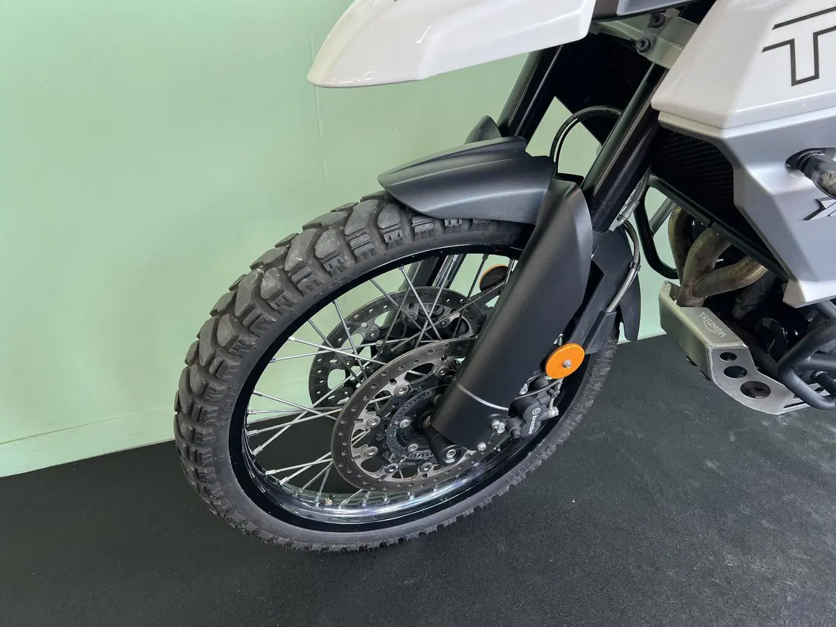 Triumph Tiger 800 XCx (2018 - 20) (20)