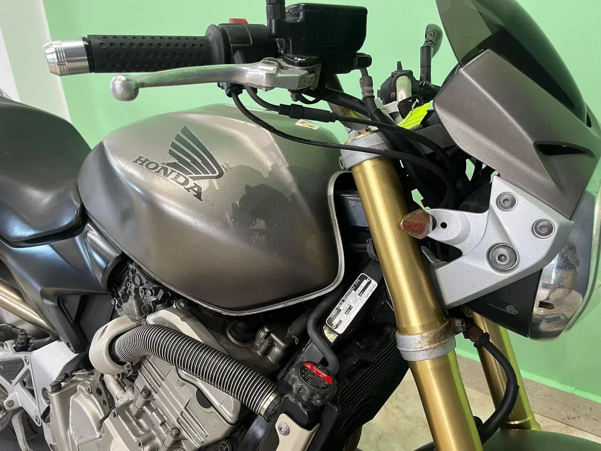 Honda Hornet 600 (2005 - 06) (12)
