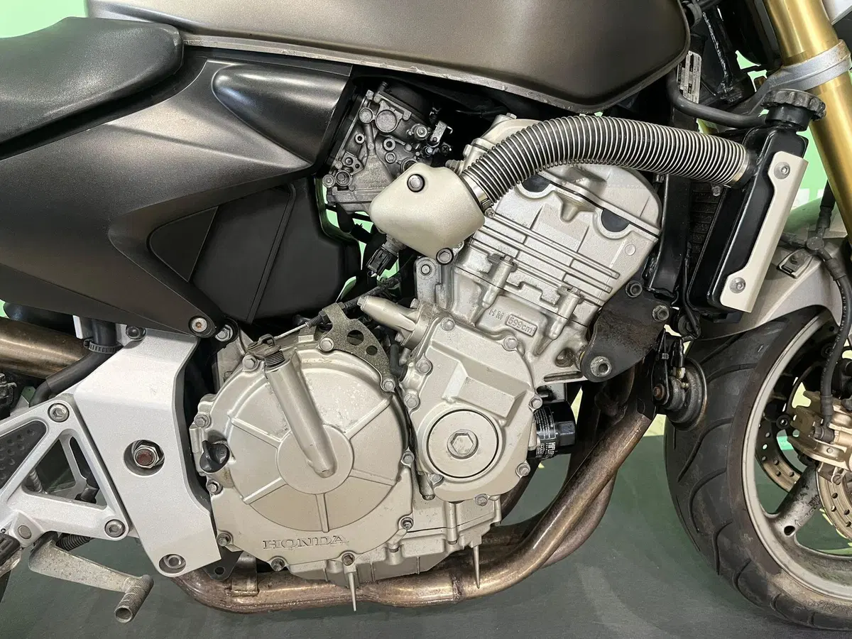 Honda Hornet 600 (2005 - 06) (15)
