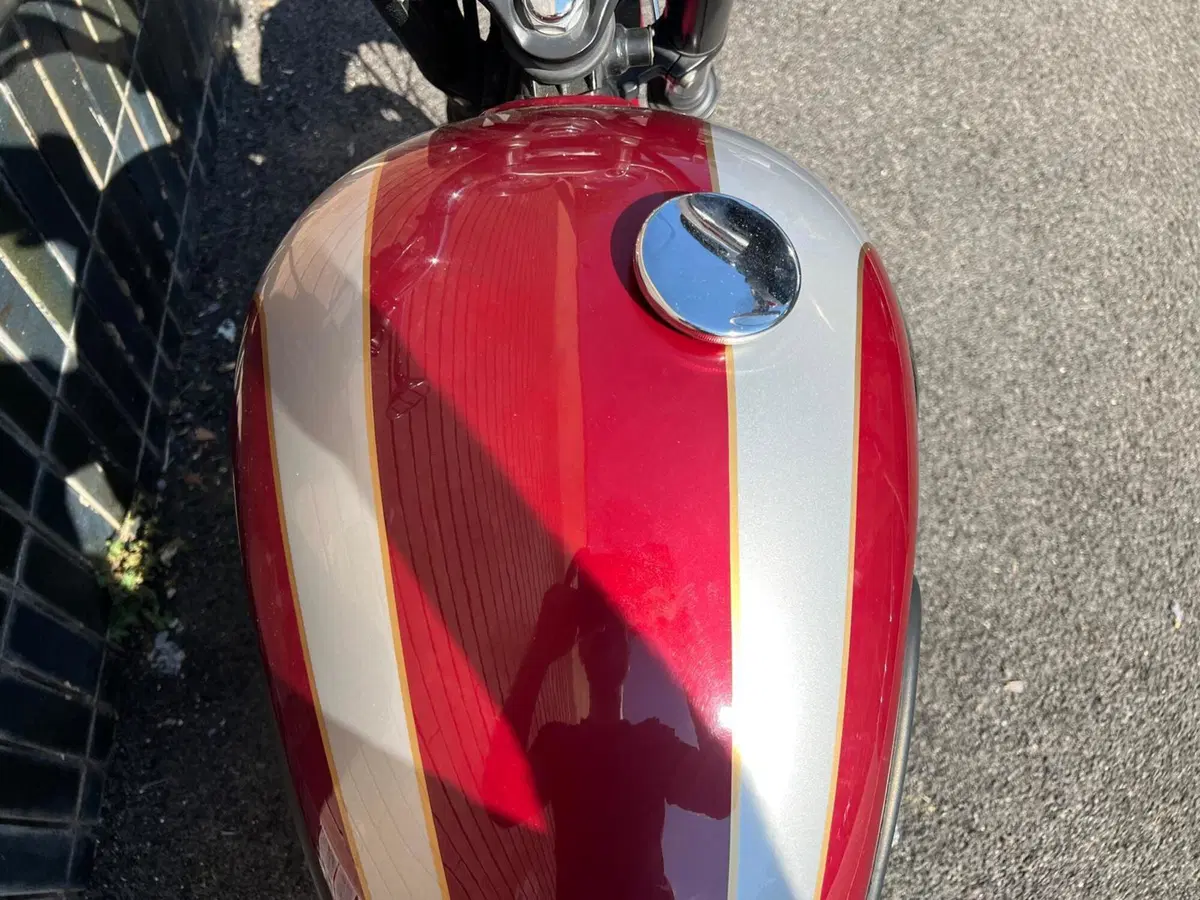 Triumph Bonneville T100 (2008 - 16) (7)