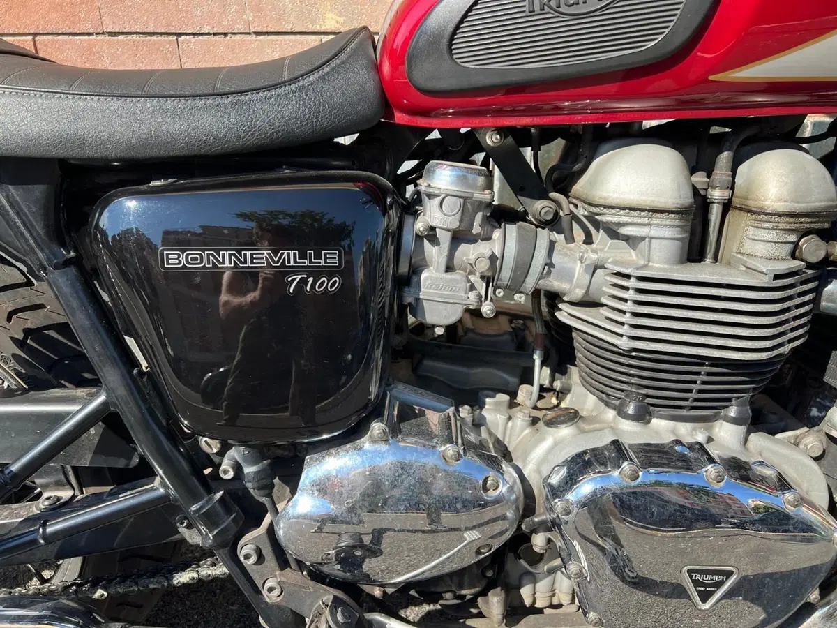 Triumph Bonneville T100 (2008 - 16) (10)