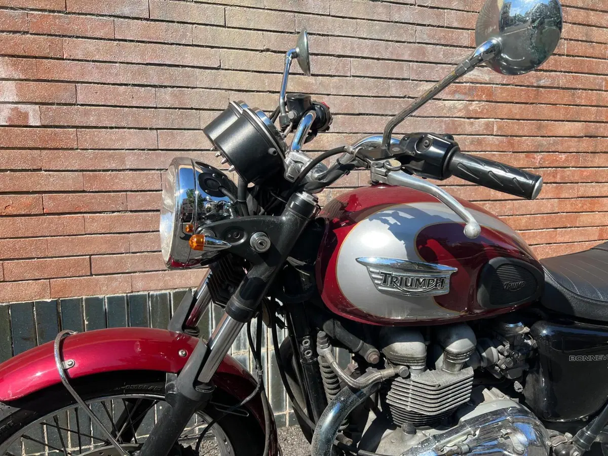 Triumph Bonneville T100 (2008 - 16) (11)