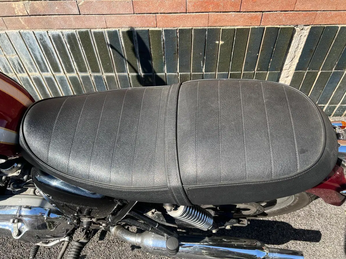 Triumph Bonneville T100 (2008 - 16) (13)