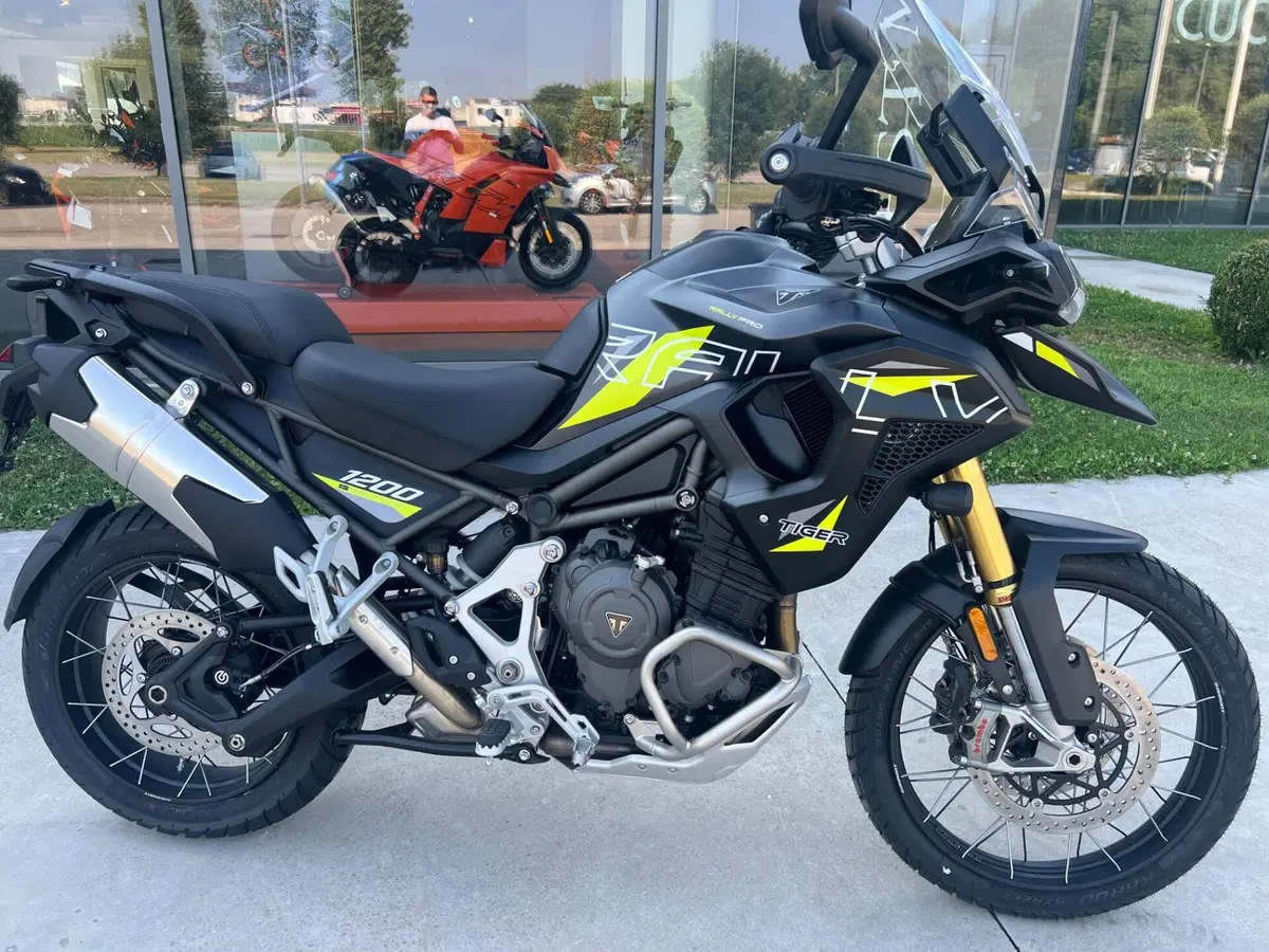 Triumph Tiger 1200 Desert Special Edition (2026) (9)
