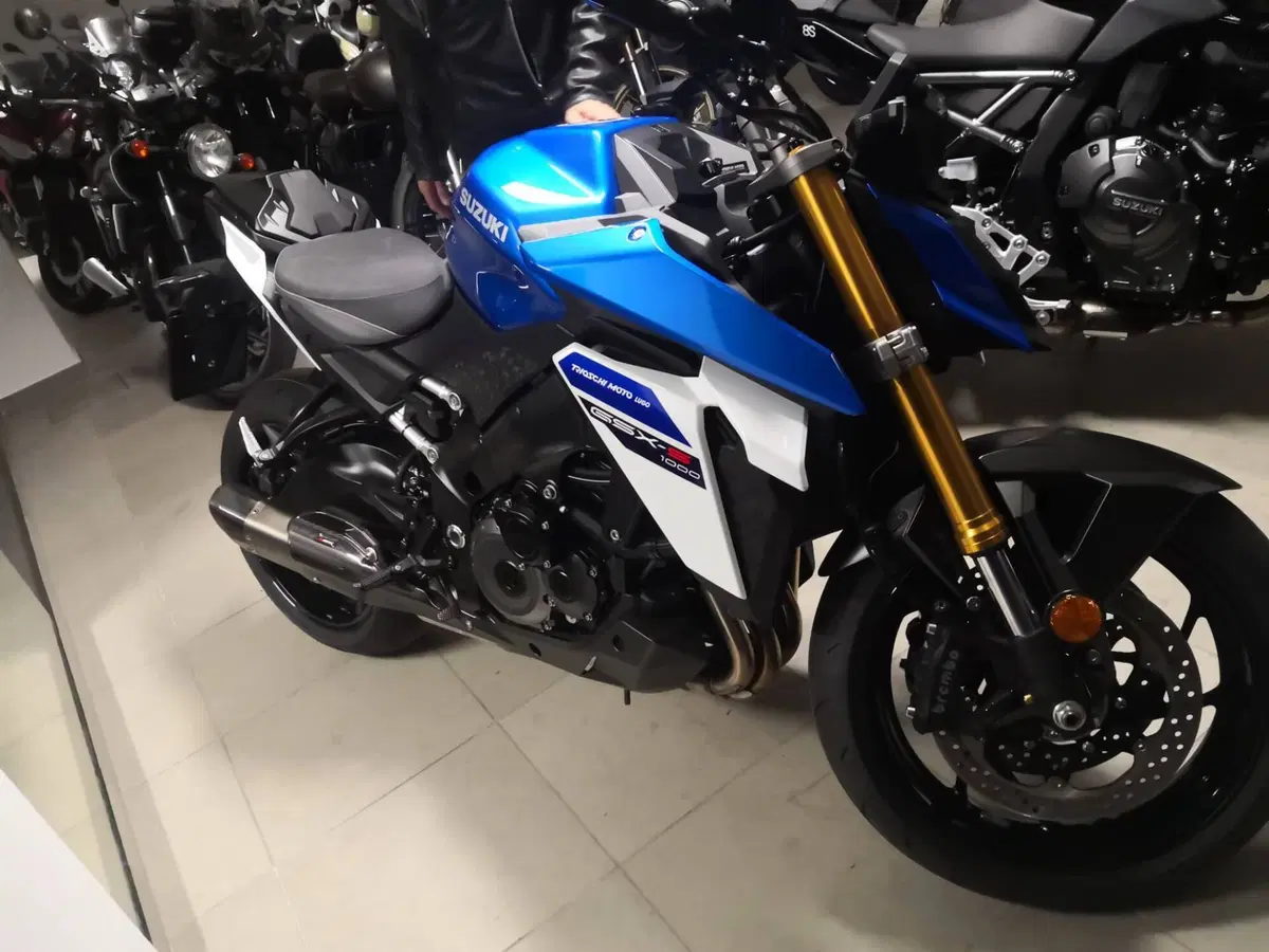 Suzuki GSX-S1000 EVO (2025 - 26)