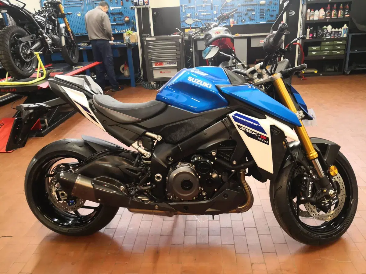 Suzuki GSX-S1000 EVO (2025 - 26) (2)