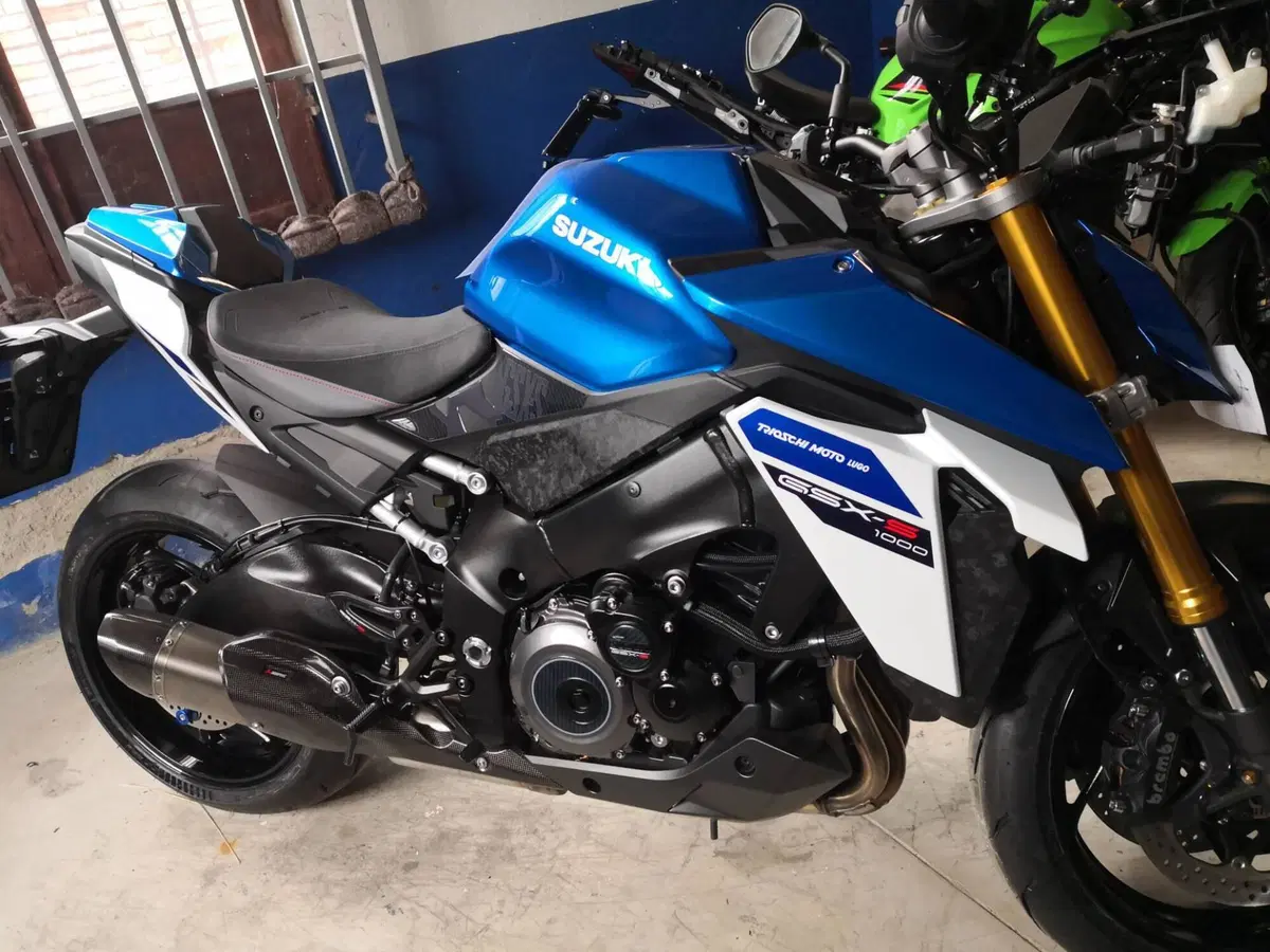 Suzuki GSX-S1000 EVO (2025 - 26) (3)