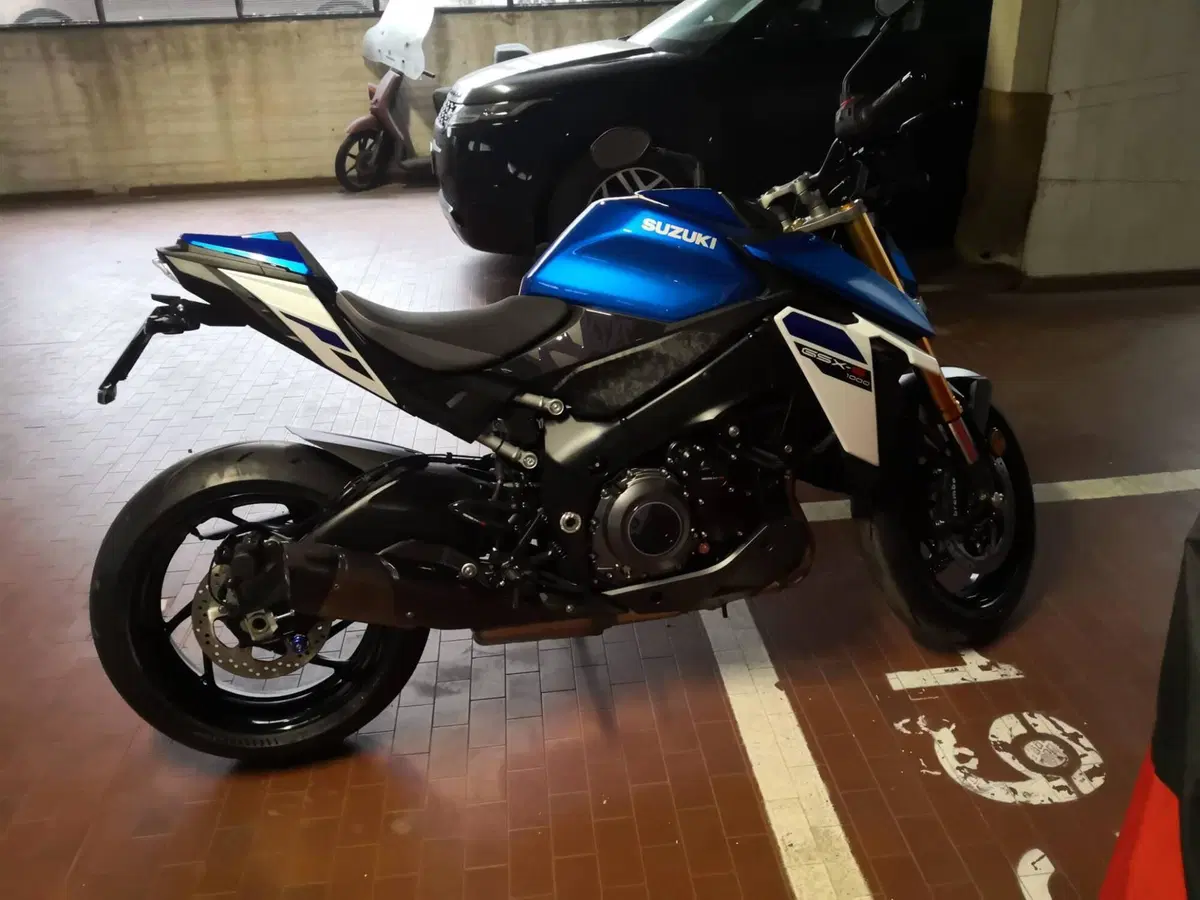 Suzuki GSX-S1000 EVO (2025 - 26) (5)