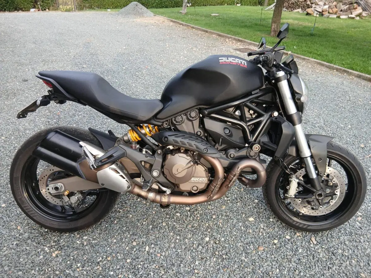 Ducati Monster 821 Dark ABS (2014 - 16) (2)
