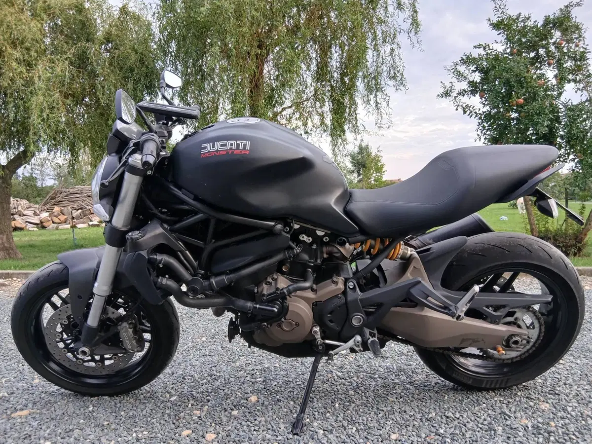 Ducati Monster 821 Dark ABS (2014 - 16) (3)