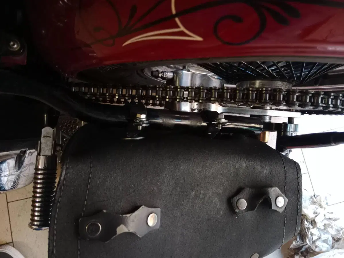 Harley-Davidson Shovel head (5)