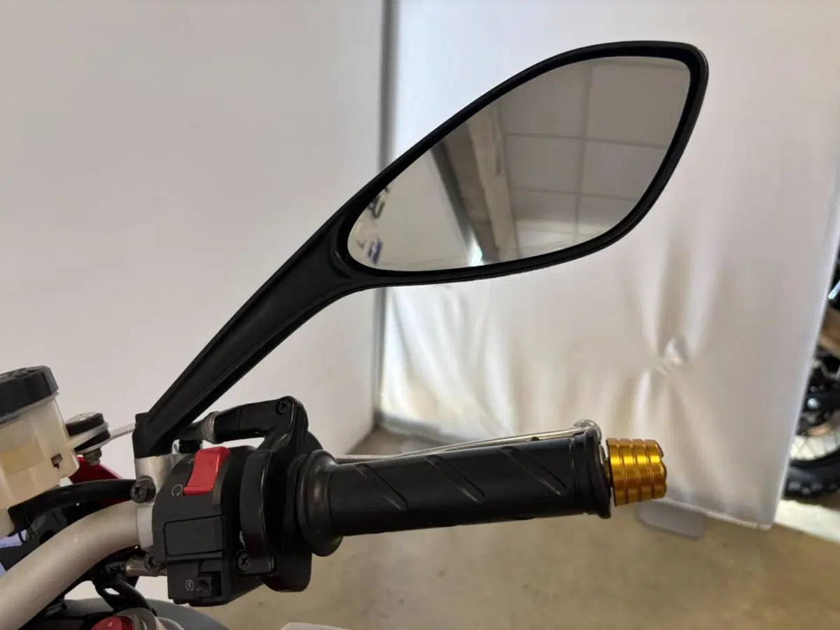 Ducati Monster 1100 Evo ABS (2011 - 13) (12)