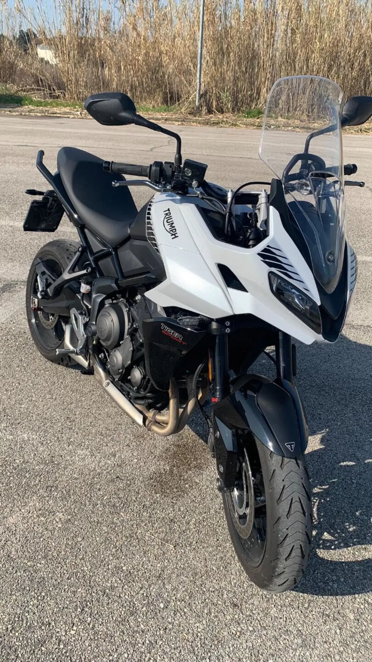 Triumph Tiger Sport 660 (2022 - 24) (6)