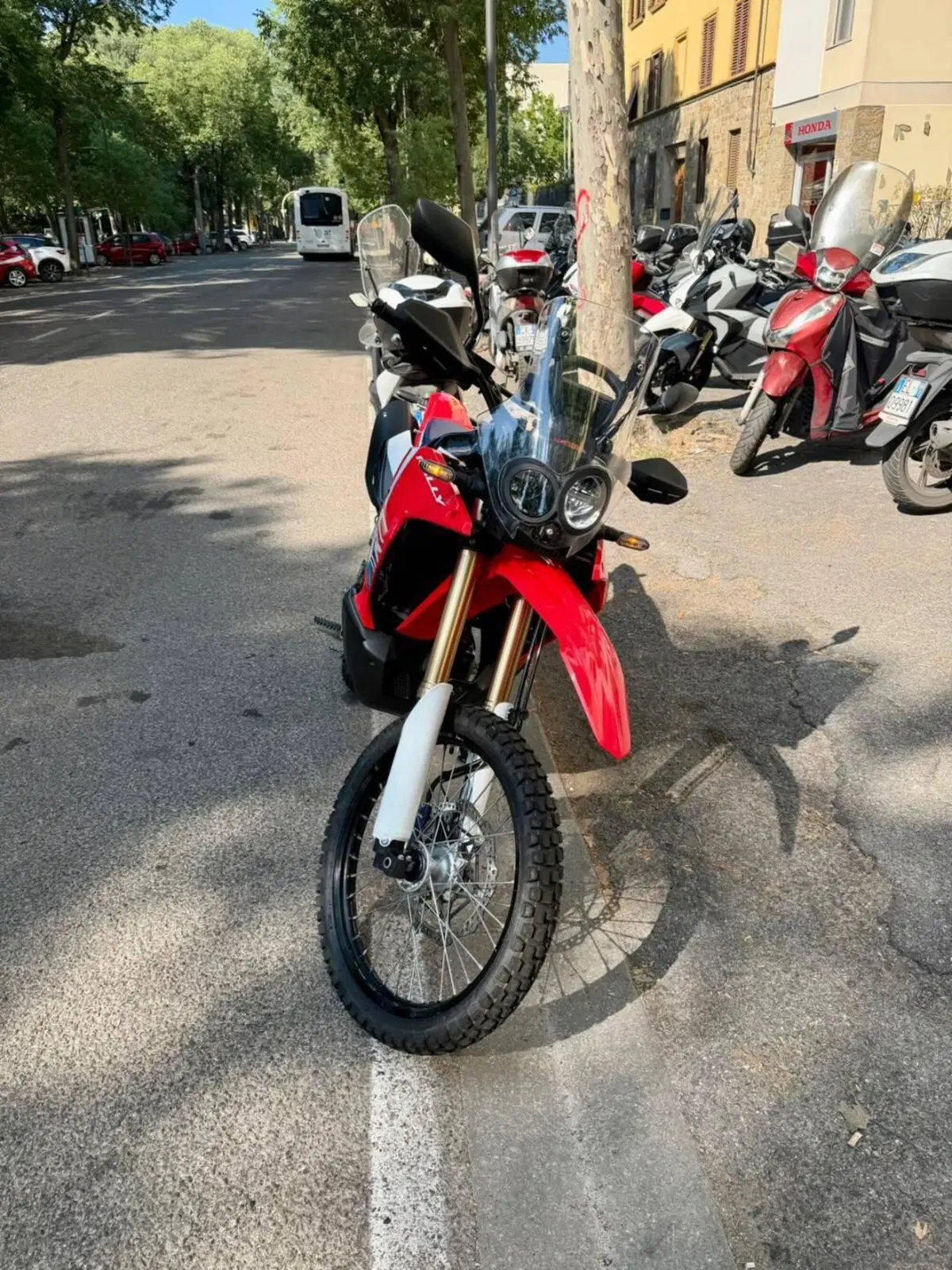 Honda CRF 300 Rally (2025 - 26) (5)