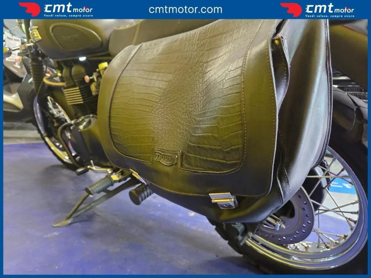 Triumph Scrambler (2006 - 17) (13)