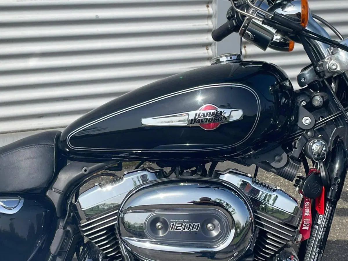 Harley-Davidson 1200 Custom (2007 - 13) - XL 1200C (5)