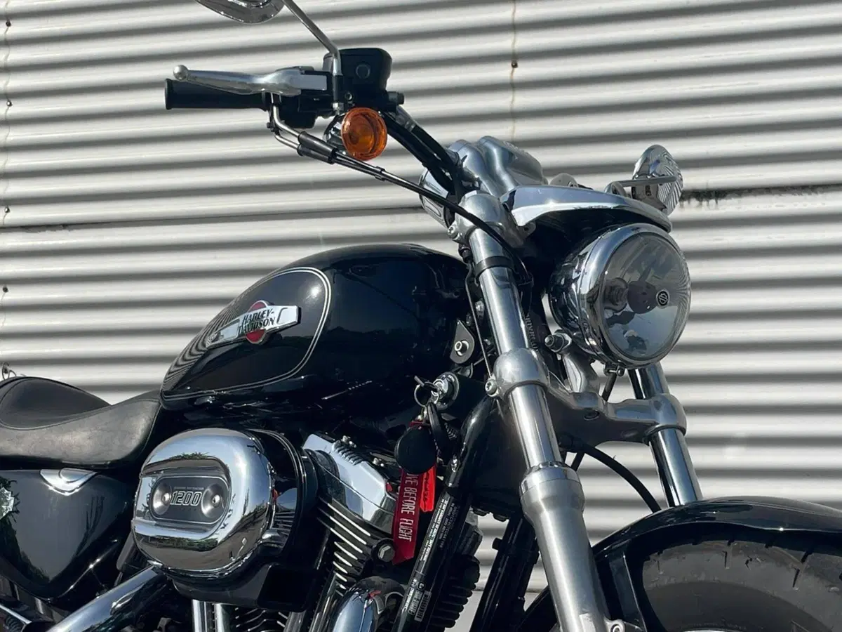 Harley-Davidson 1200 Custom (2007 - 13) - XL 1200C (7)
