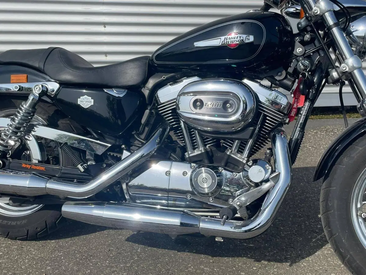 Harley-Davidson 1200 Custom (2007 - 13) - XL 1200C (8)