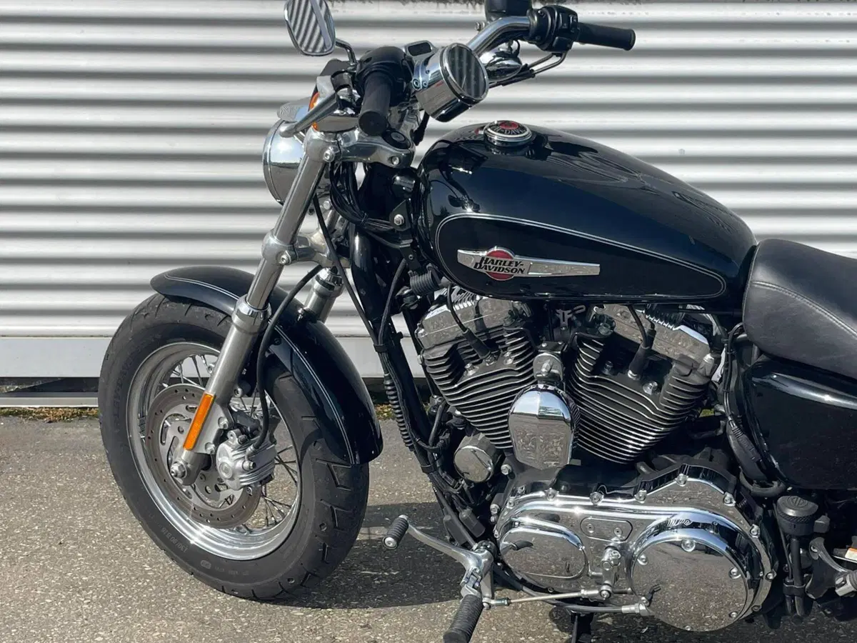 Harley-Davidson 1200 Custom (2007 - 13) - XL 1200C (9)