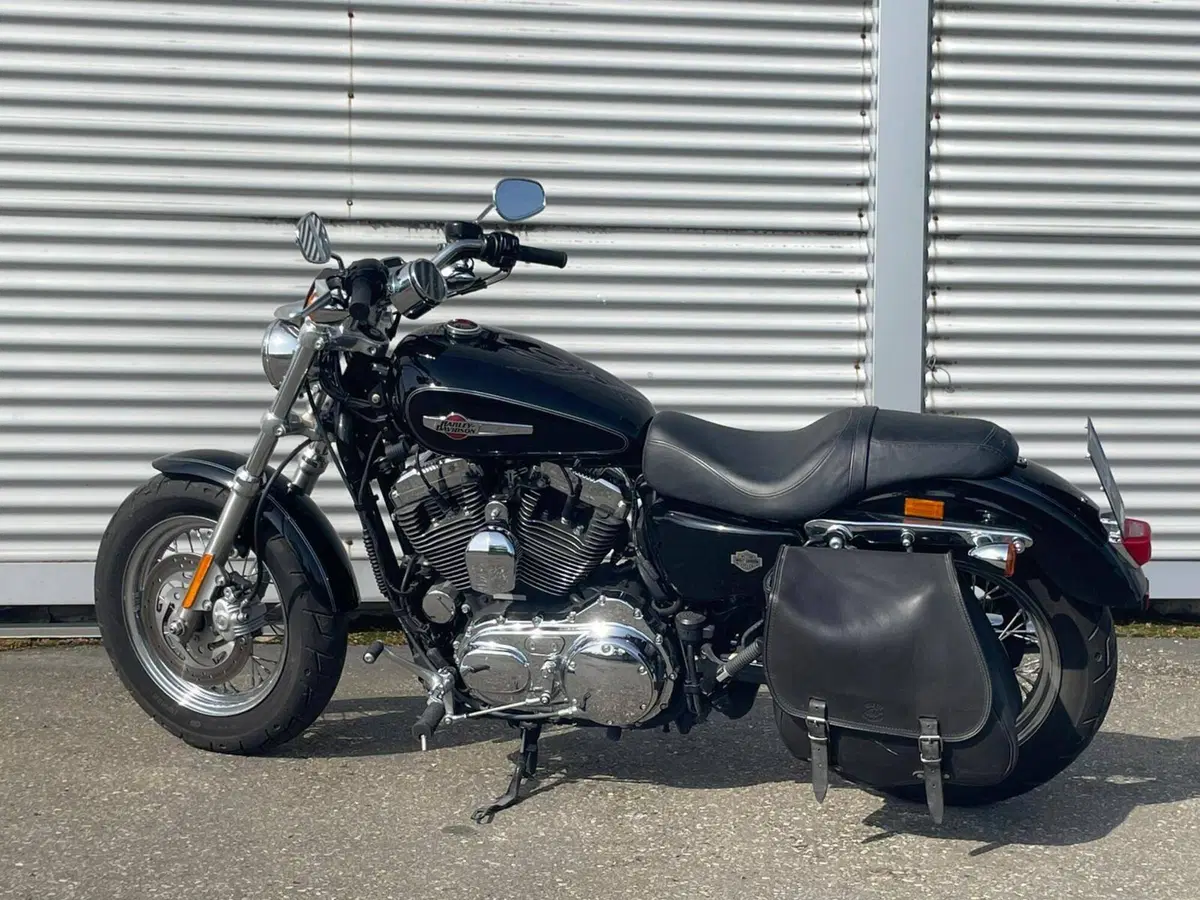 Harley-Davidson 1200 Custom (2007 - 13) - XL 1200C (2)