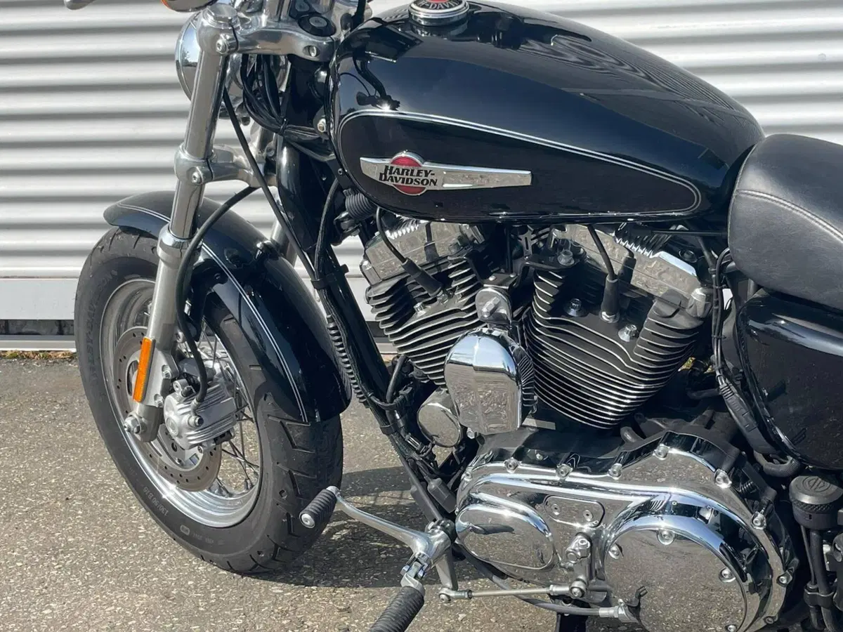 Harley-Davidson 1200 Custom (2007 - 13) - XL 1200C (11)