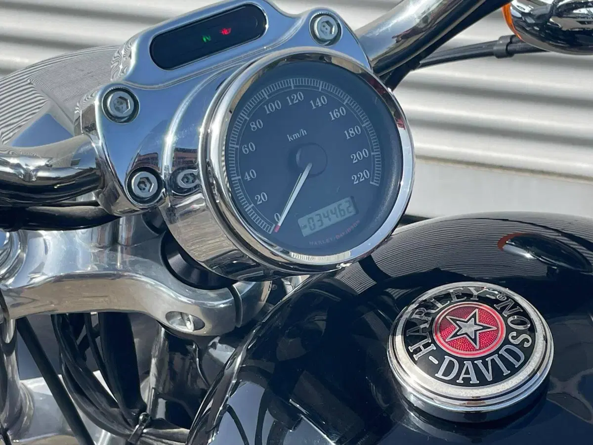 Harley-Davidson 1200 Custom (2007 - 13) - XL 1200C (16)
