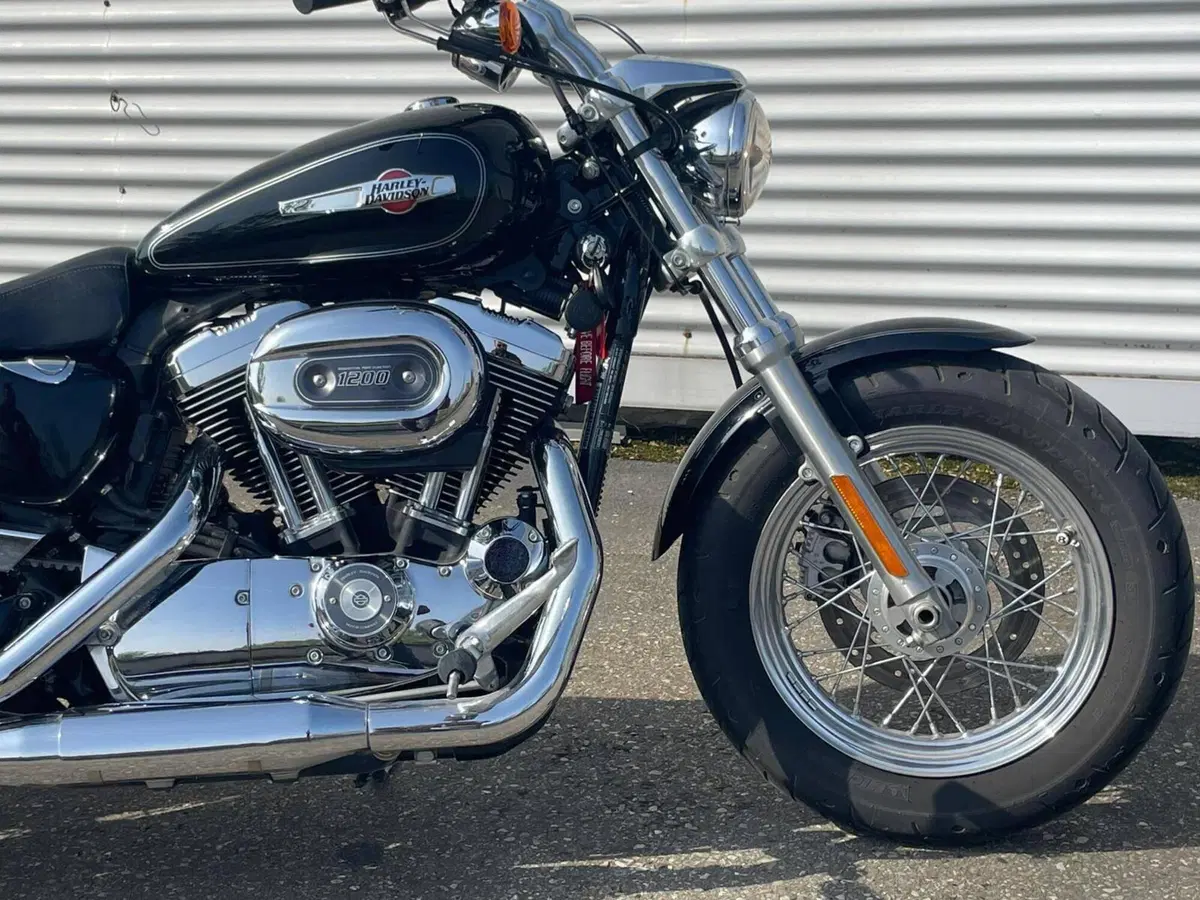 Harley-Davidson 1200 Custom (2007 - 13) - XL 1200C (13)