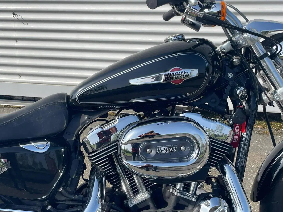 Harley-Davidson 1200 Custom (2007 - 13) - XL 1200C (14)