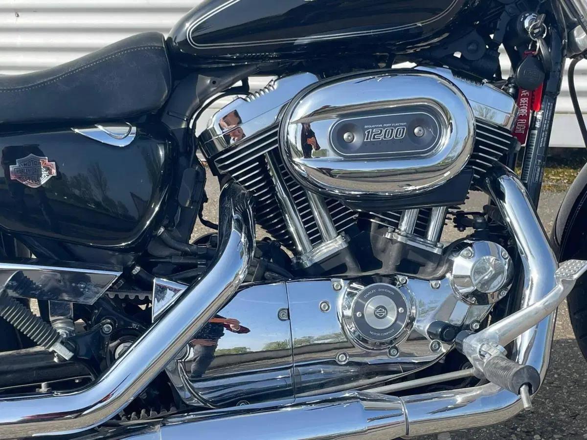 Harley-Davidson 1200 Custom (2007 - 13) - XL 1200C (4)
