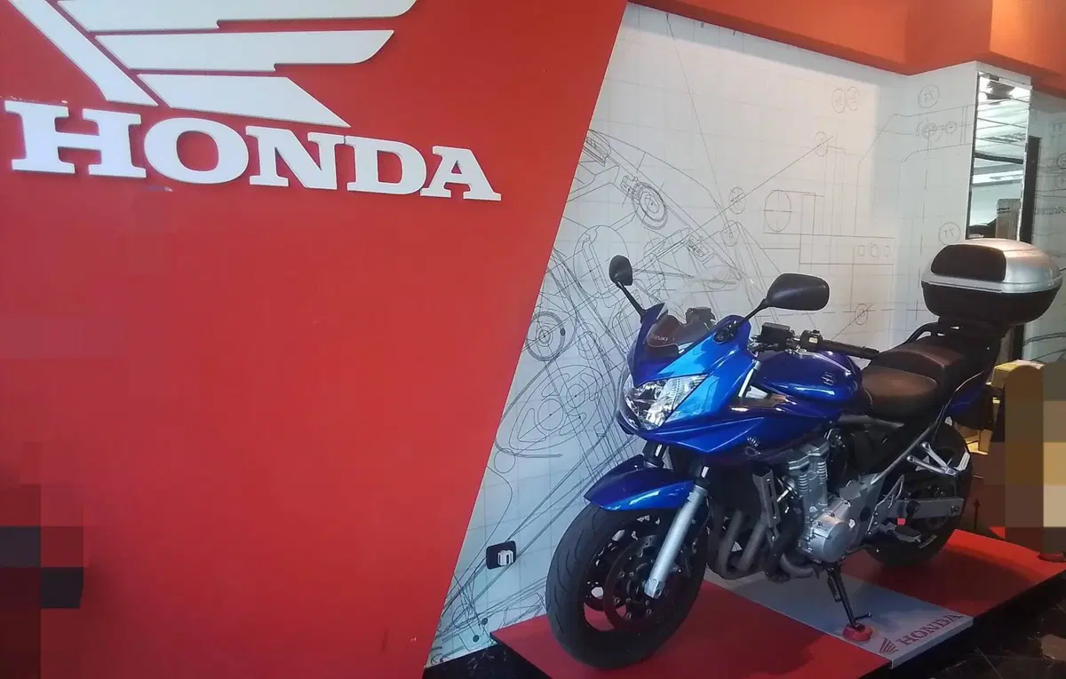 Suzuki GSF 650 Bandit S (2006 - 12) (2)