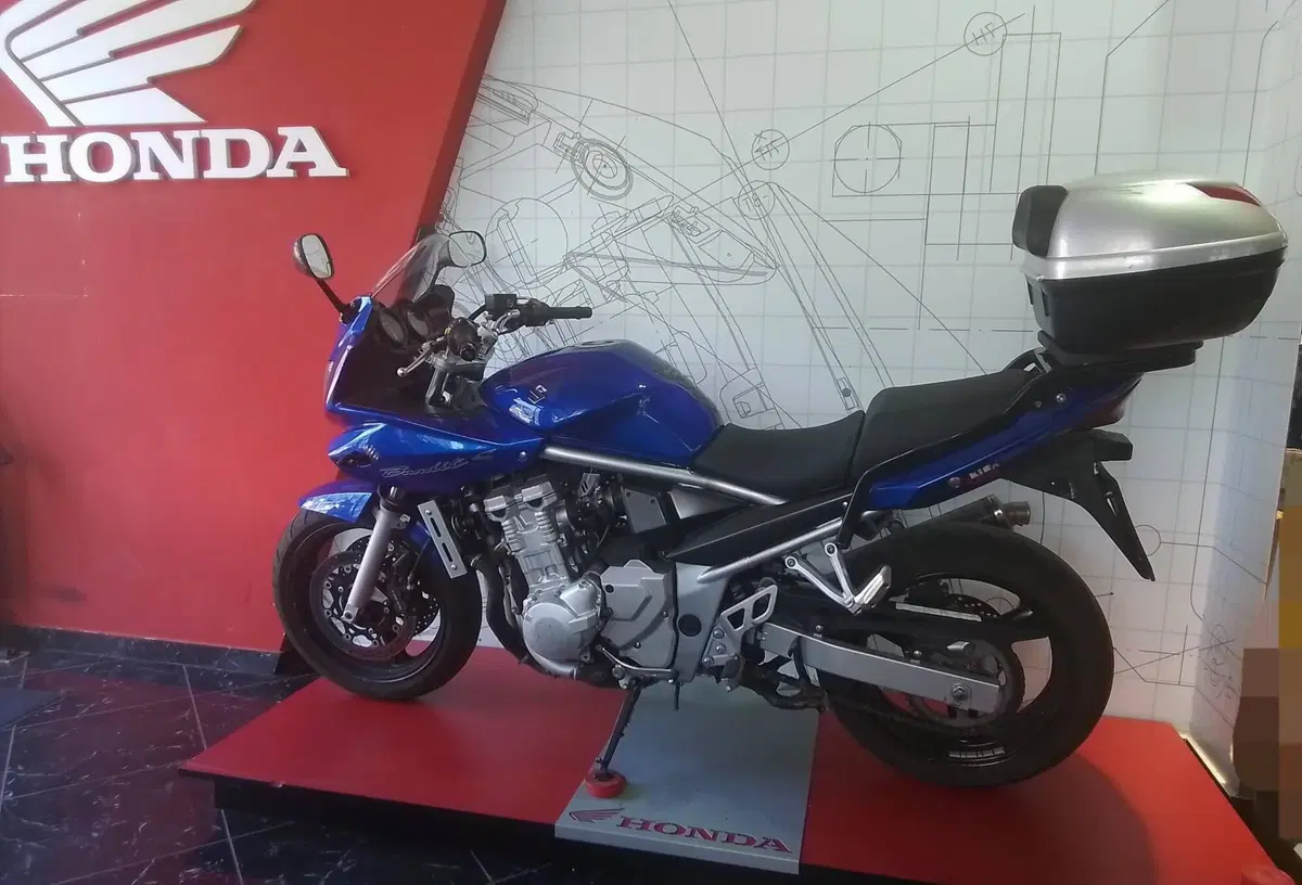 Suzuki GSF 650 Bandit S (2006 - 12) (11)